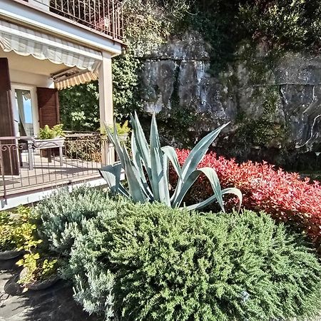 Citrus Apartment Brenzone Zewnętrze zdjęcie