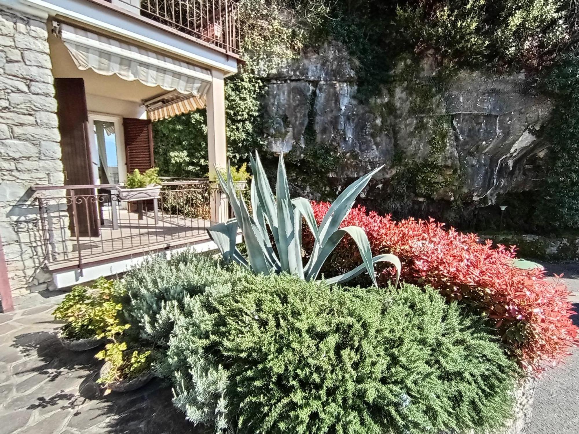 Citrus Apartment Brenzone Zewnętrze zdjęcie